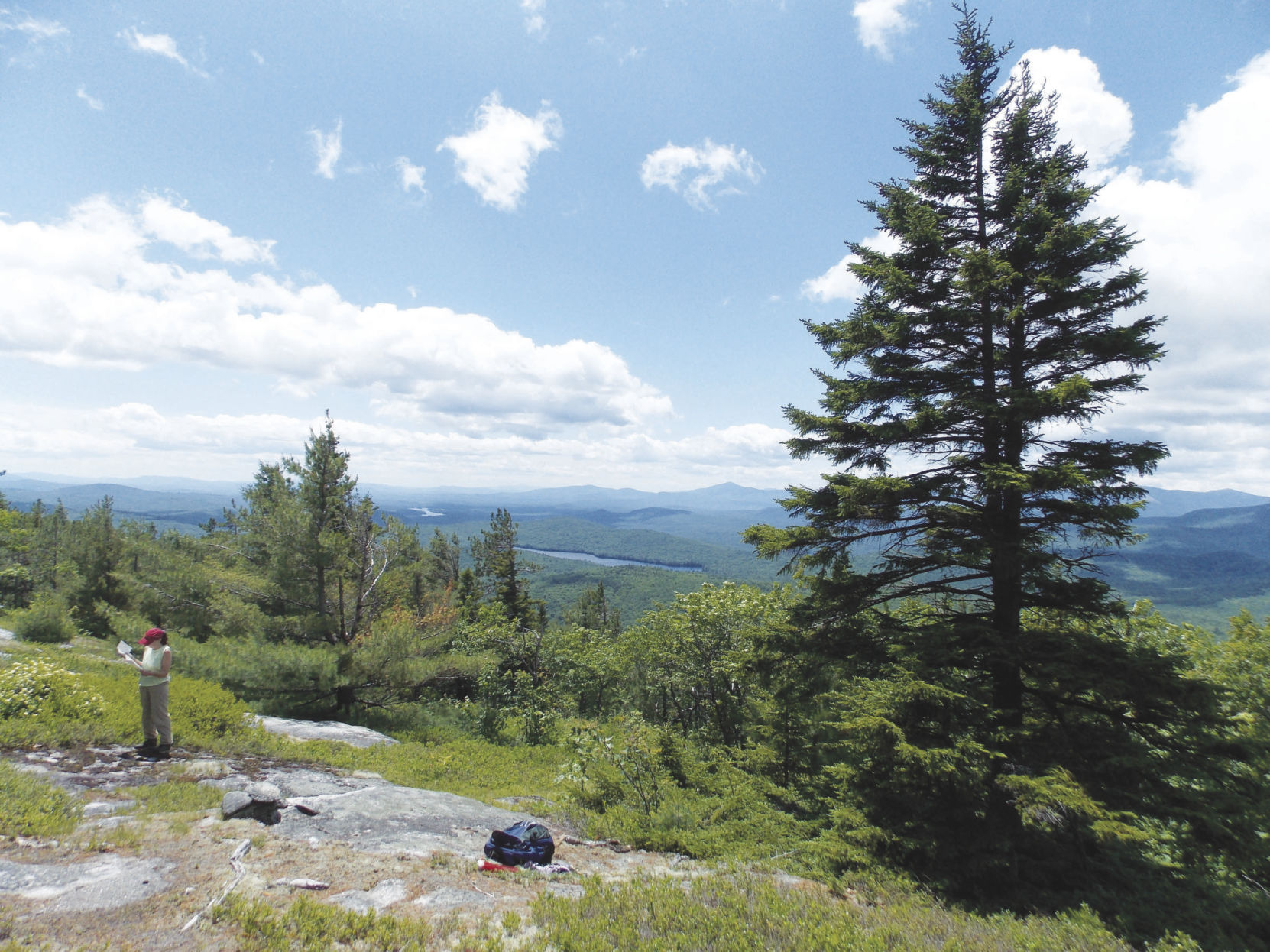Hiking column: Hiking the Albany Mountain Trail